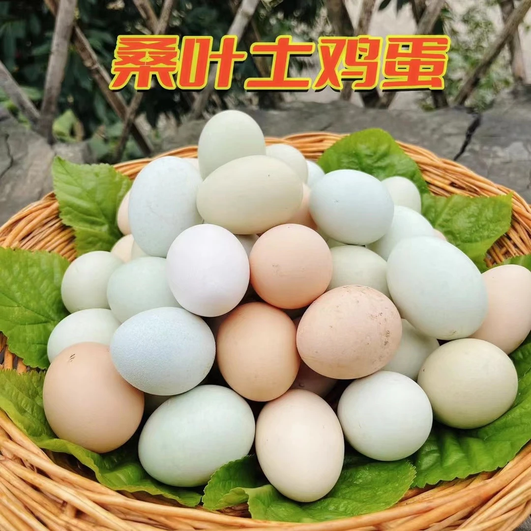 20/50枚（初生蛋）顺丰包邮  正宗山林散养土鸡蛋