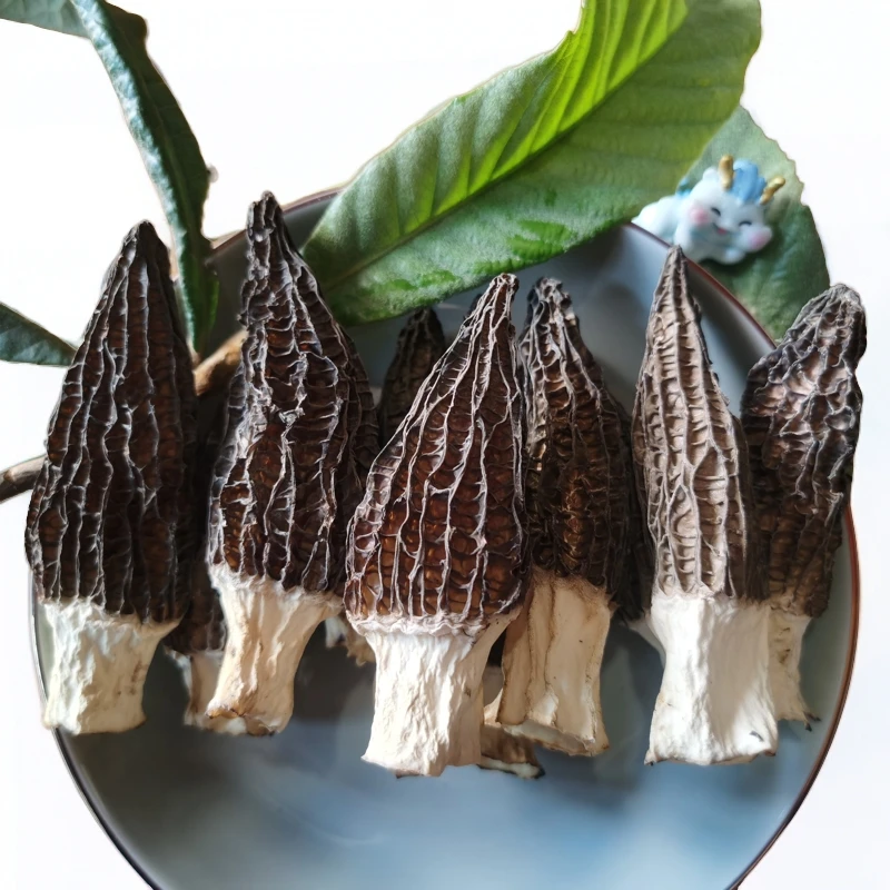 头茬新货羊肚菌干货6-8厘米50克