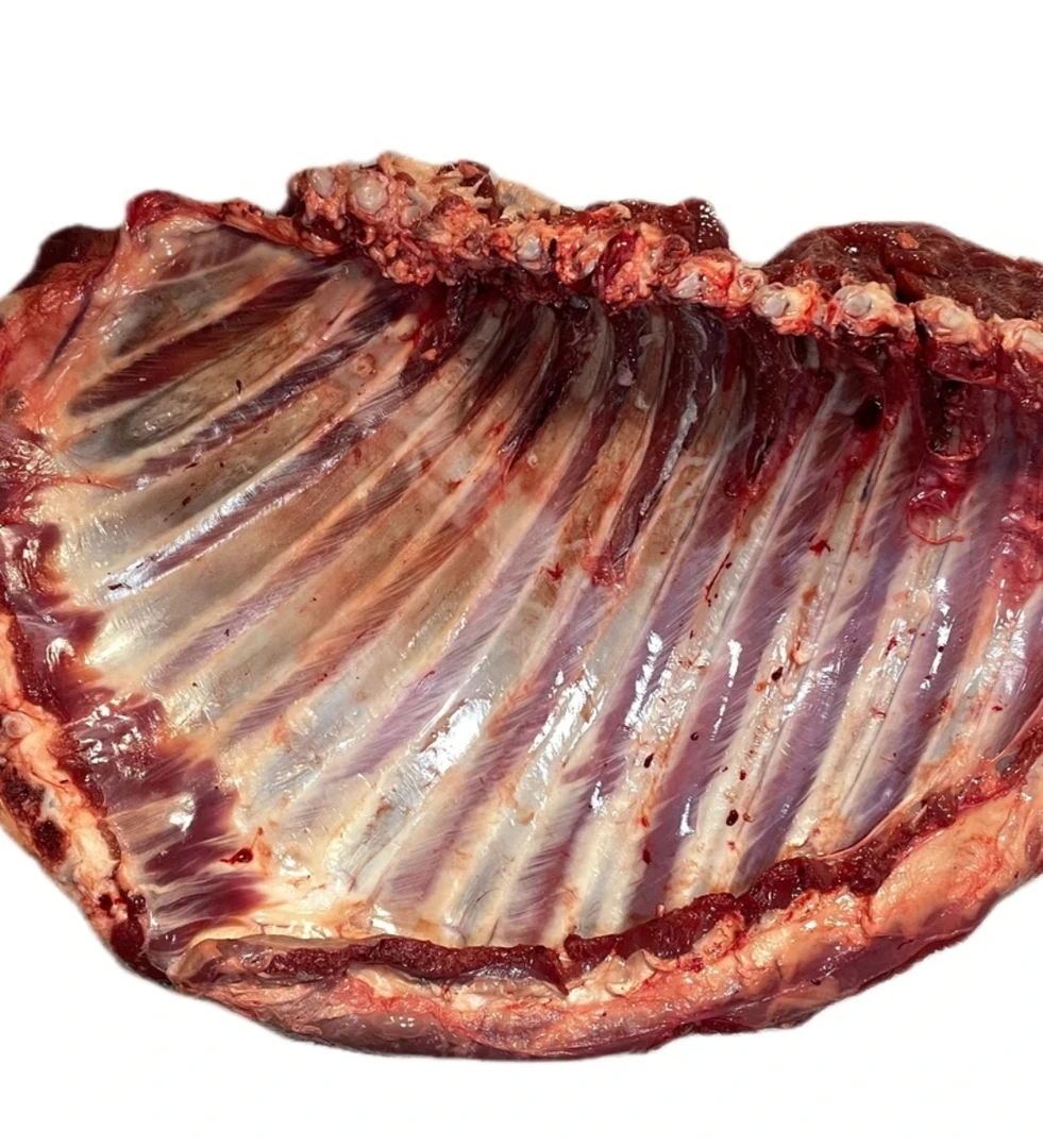 鄂尔多斯草原散养羊排