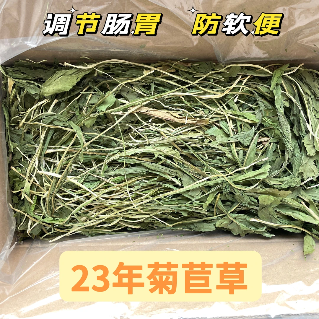 23年烘干菊苣草兔子干草辅草零食草净重500g