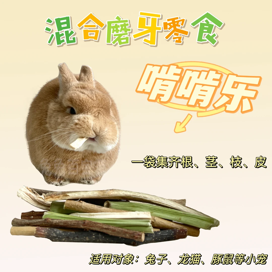 兔子啃啃乐小宠混合磨牙零食木瓜茎木瓜树皮苹果枝梨枝等