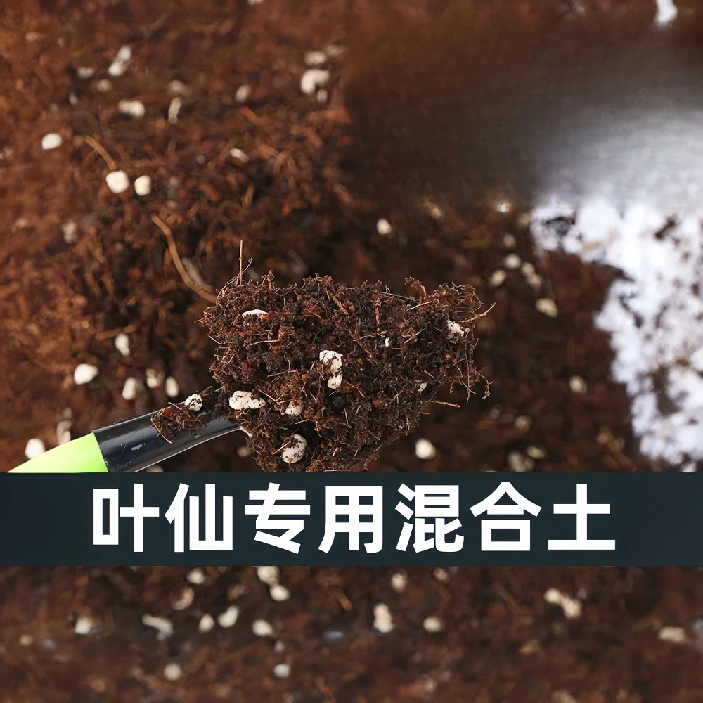 绿植用品阳台花园花卉通用营养土春暖花开换盆必备