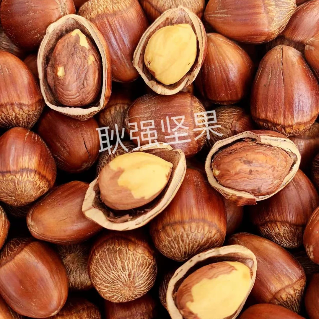 东北2025年新货 东北炒熟达维大果榛子，不开口，送夹子