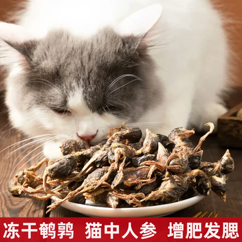 冻干鹌鹑猫中人参宠物营养美毛猫咪狗狗增肥发腮猫咪零食狗狗零食