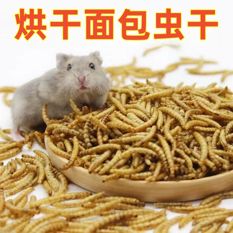 面包虫干仓鼠粮食烘干黄粉虫干仓鼠金丝熊营养小宠零食花枝鼠饲料