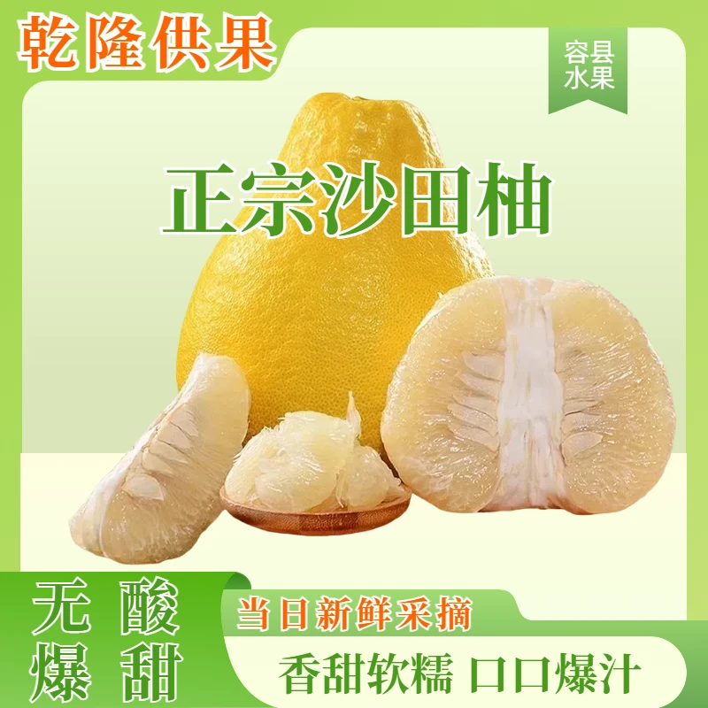 广西容县正宗沙田柚老树新鲜水果香甜直销多汁应季柚子爆汁纯甜