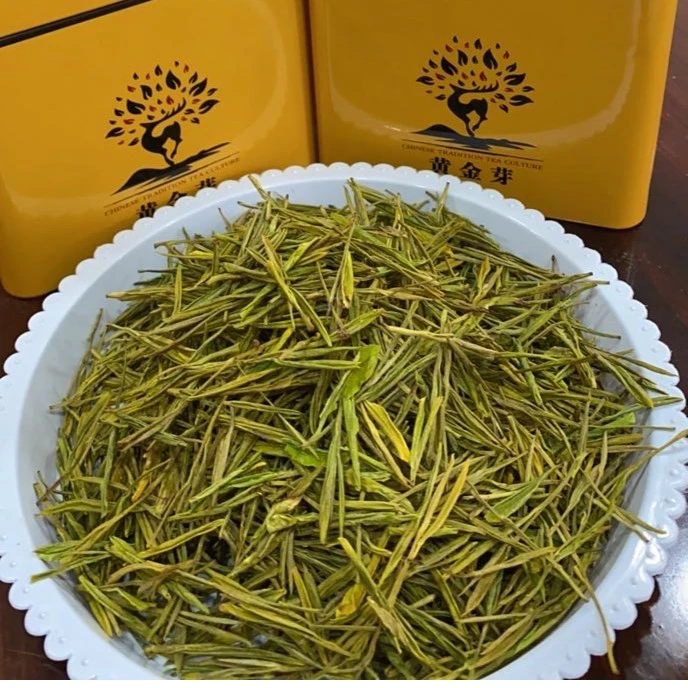 2024正宗黄金芽原产地黄金芽