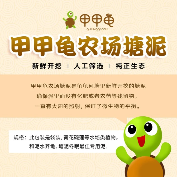甲甲龟 乌龟冬眠天然河塘泥淤泥荷塘泥养龟泥水生植物营养土湿泥
