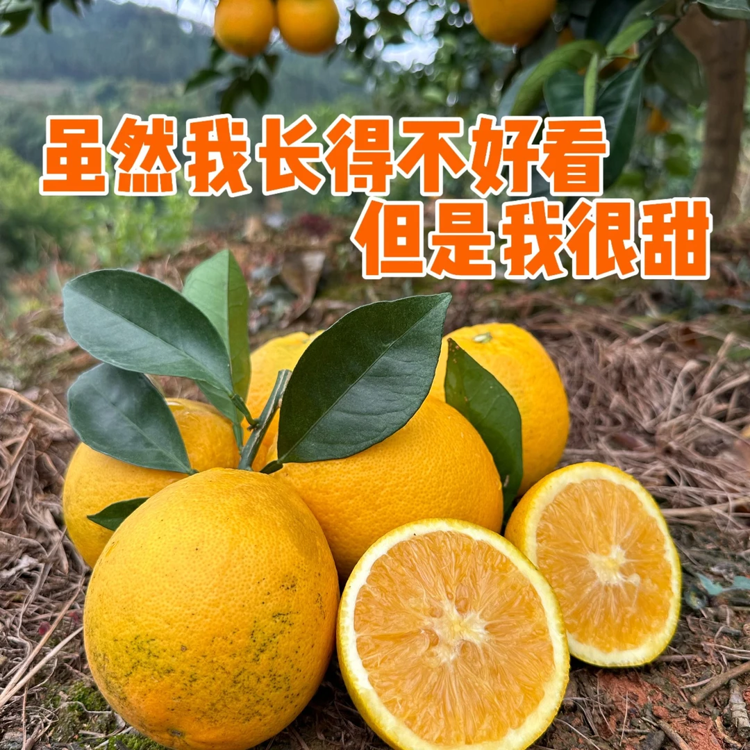正宗赣南脐橙自家果园花皮瑕疵果非精品新鲜产地直发10斤介意勿拍
