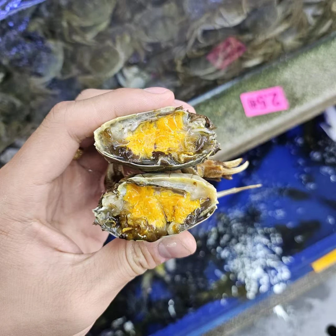 《万鑫海鲜》新鲜2.5两大闸蟹（4只）