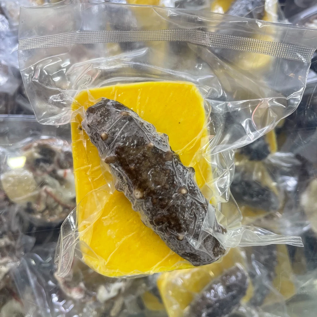 《万鑫海鲜》金汤小米辽参(6头海参)熟制品(265g)