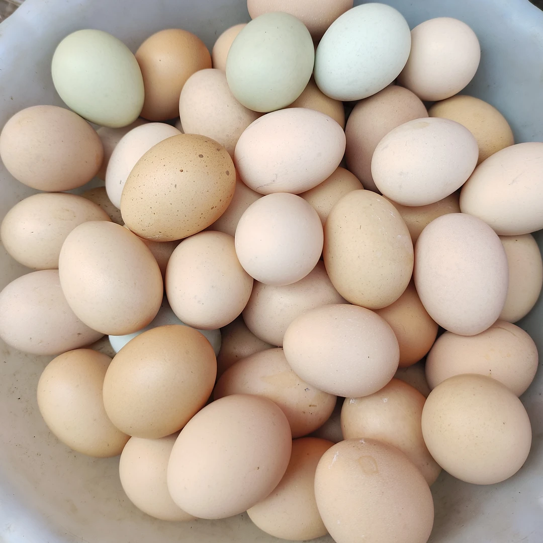 三宝3号本地新鲜土鸡蛋30个装
