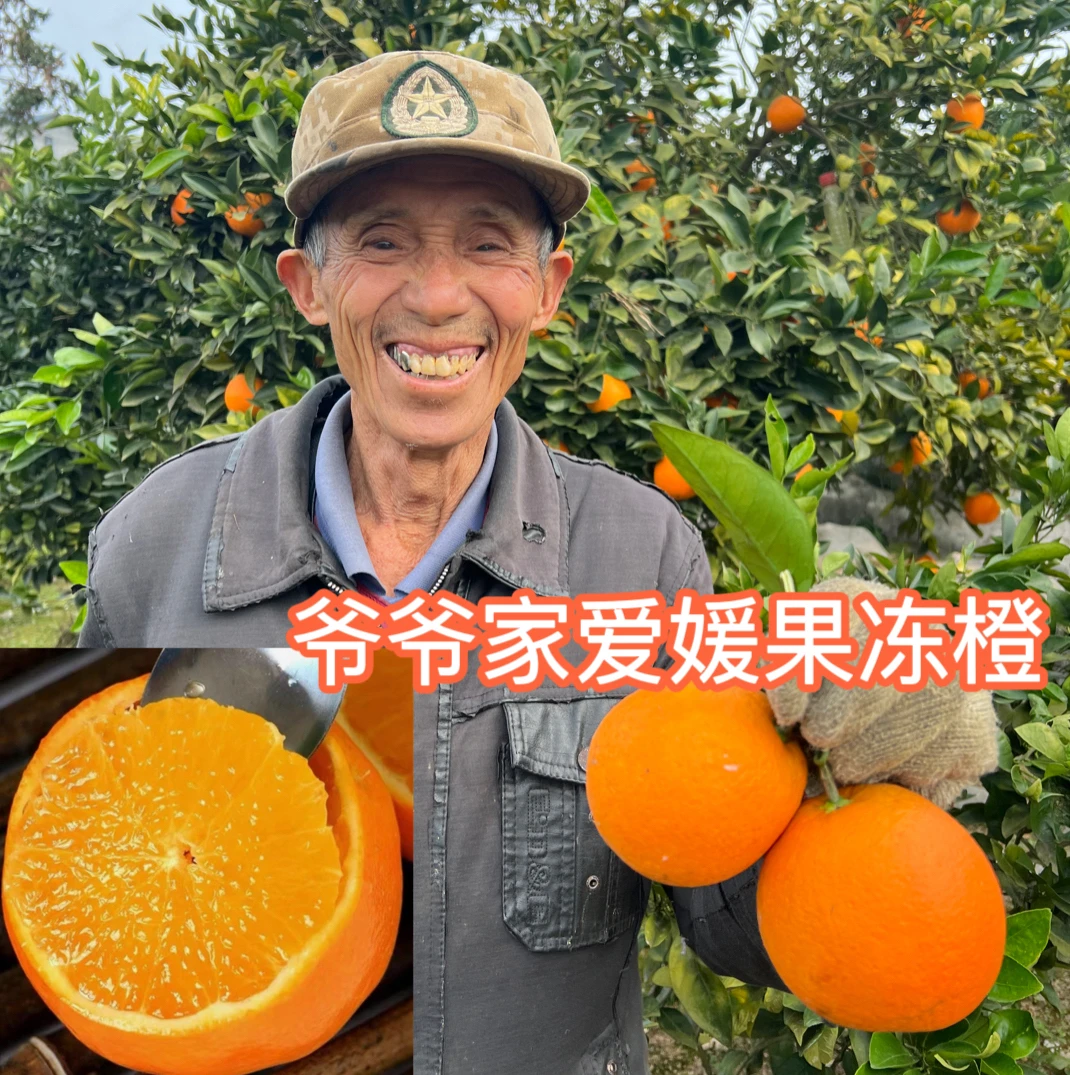 【5爷爷家果冻橙】正宗爱媛38号果冻橙新鲜应季水果手剥橙坏果包赔
