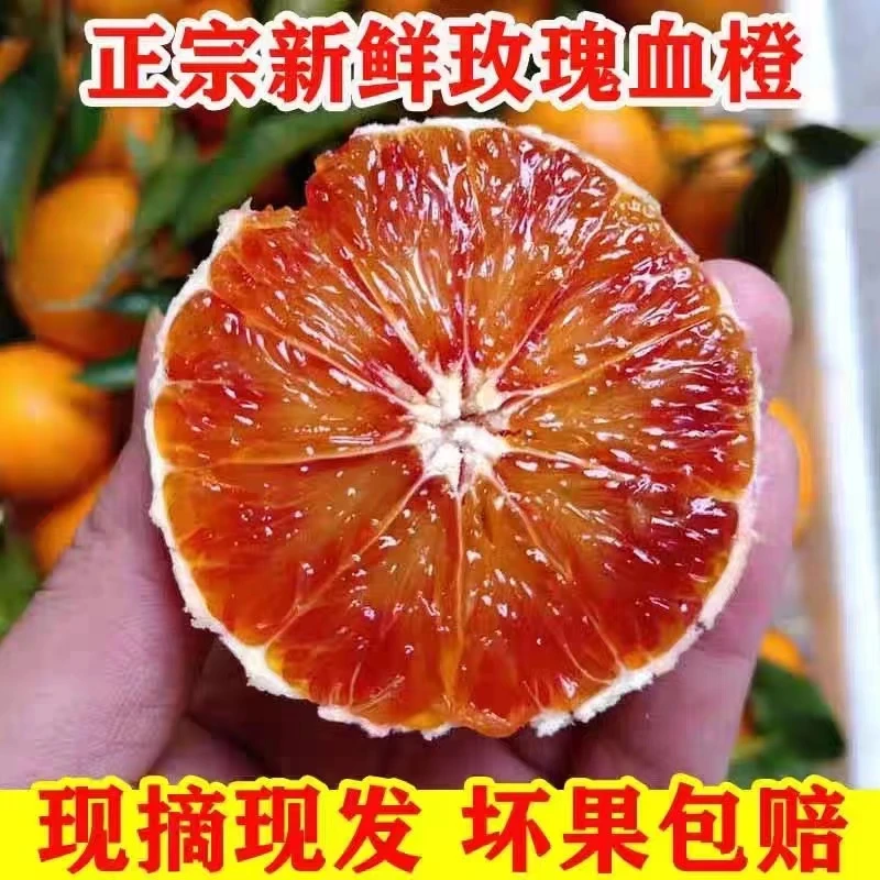 【a小哥和弟弟家血橙】湖南麻阳玫瑰香血橙应季水果酸甜坏果包赔