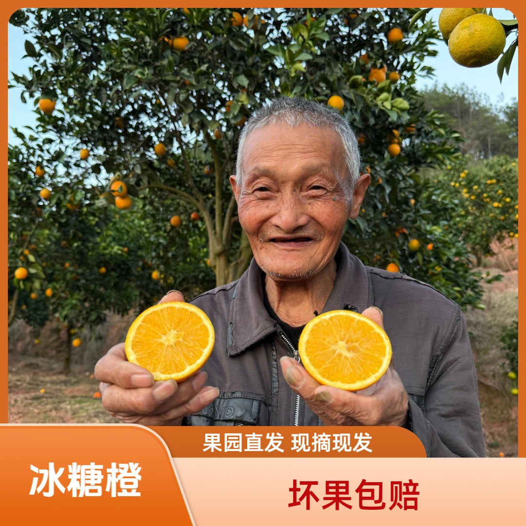 【爷爷家冰糖橙】湖南麻阳青黄皮冰糖橙新鲜采摘爷爷家果园直发