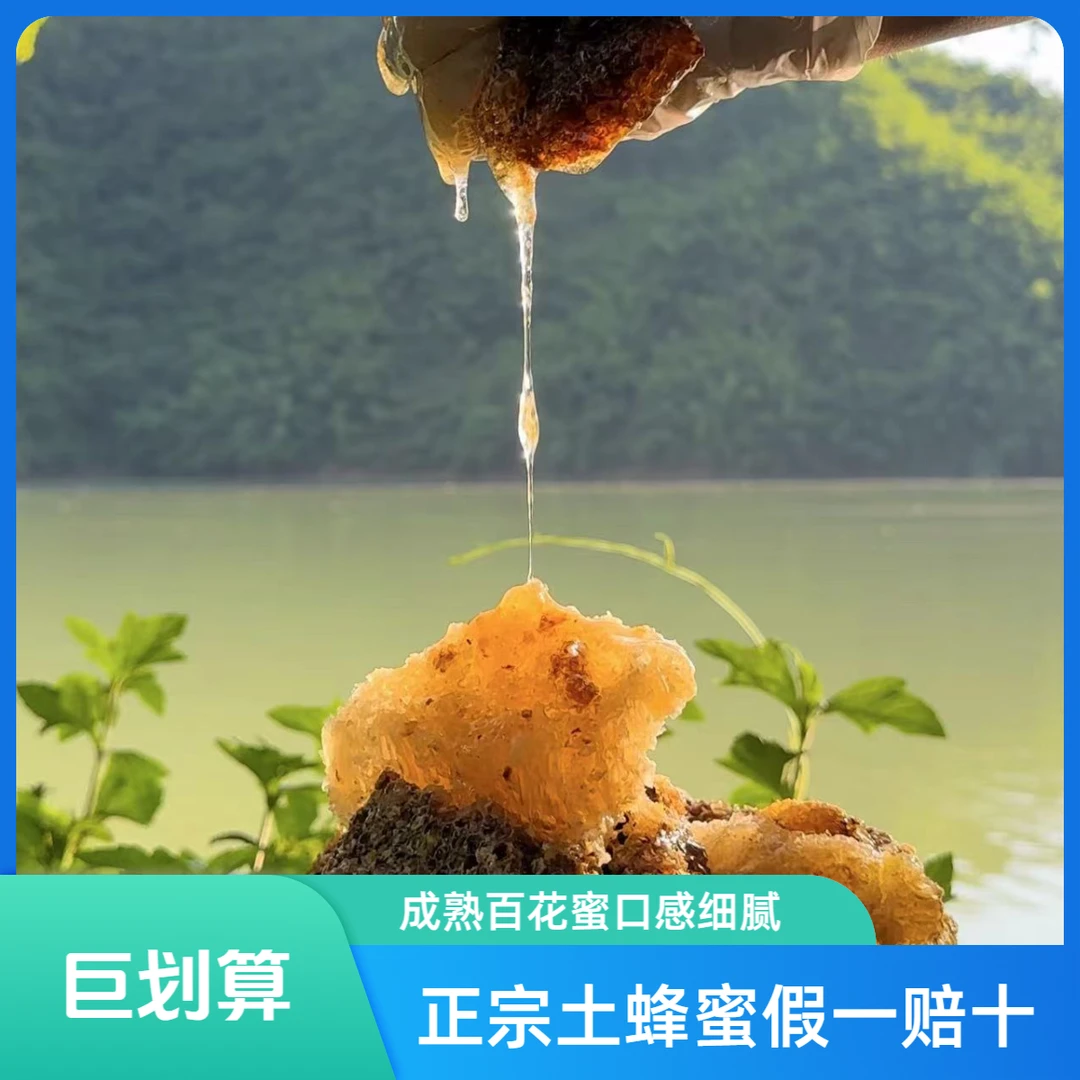 【拍一发三】云南深山悬崖土蜂蜜 到手三斤0添加 假一赔十 可做果茶