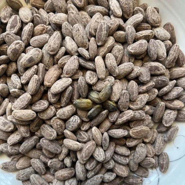 吊瓜子福袋 吊瓜子100g椒盐奶油