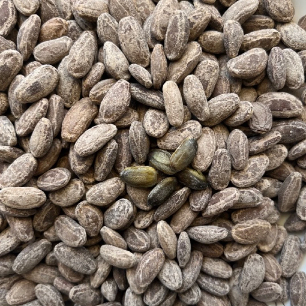 〖吊瓜子福利〗吊瓜子奶油味椒盐原味200g*2包味道好