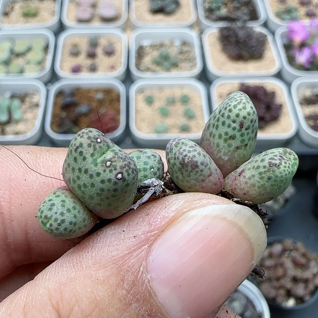 428福利福利福利