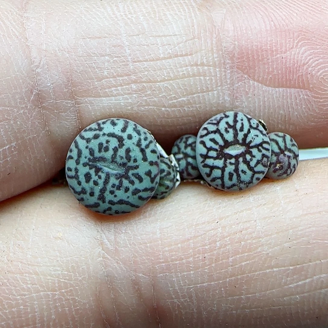 294福利福利福利