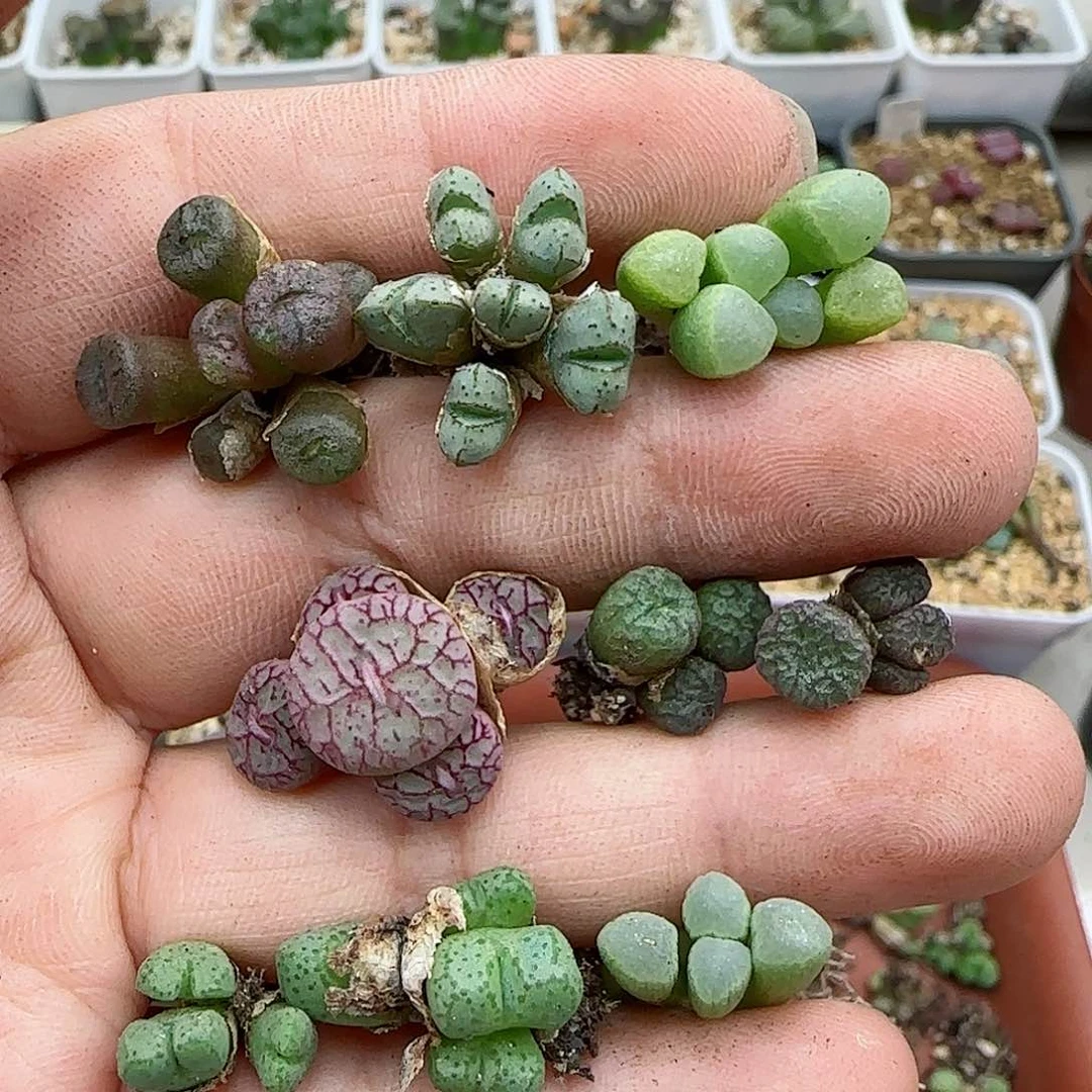 327福利福利福利