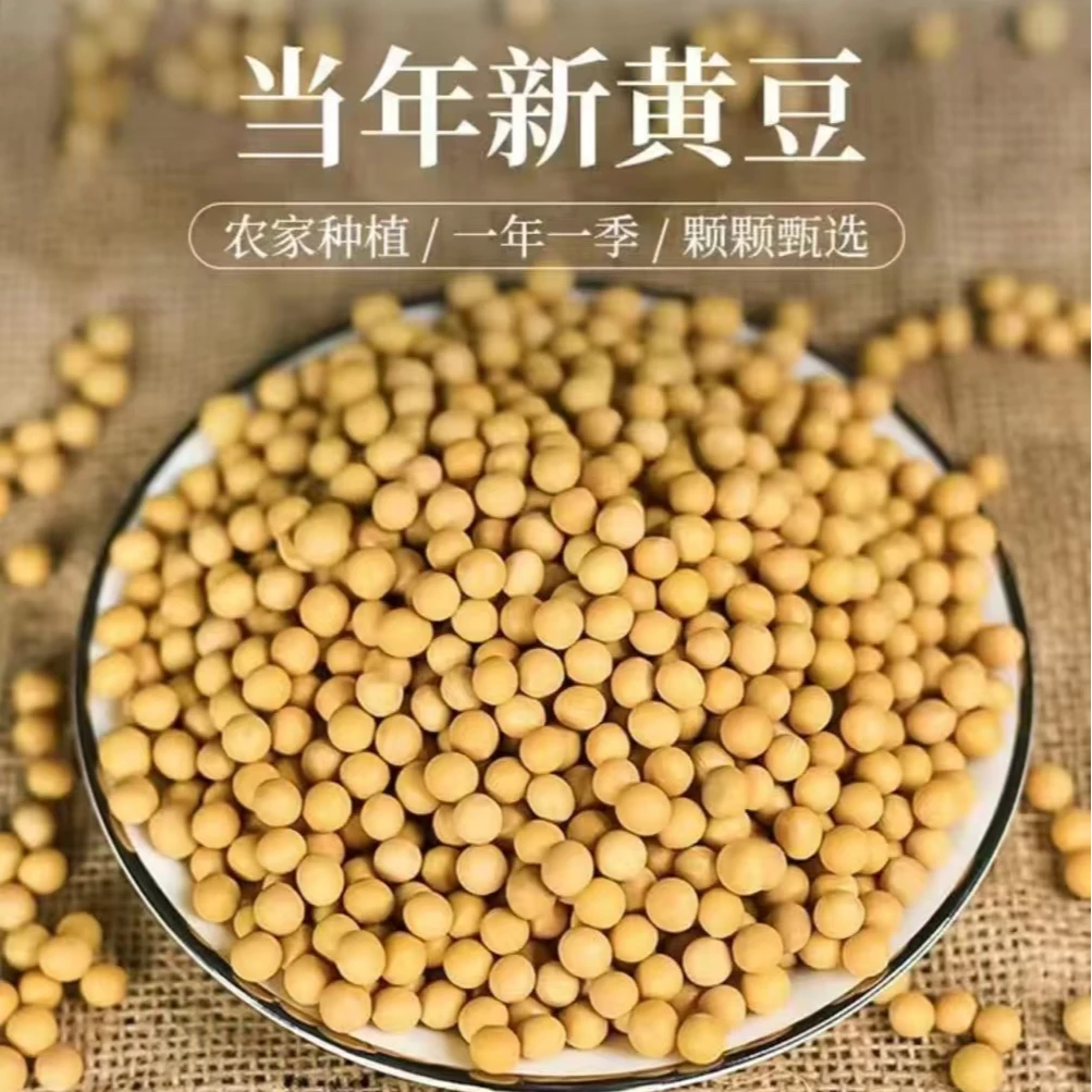 2024年精选非转基因大粒黄豆高蛋白大豆之乡讷河产地直发