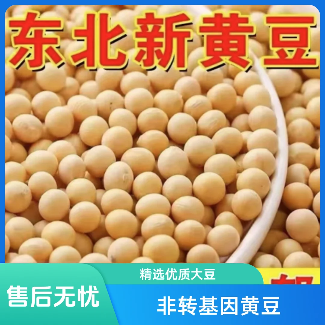 25年新黄豆5斤装黑龙江大豆高蛋白豆腐专用豆浆豆芽农家非转基因