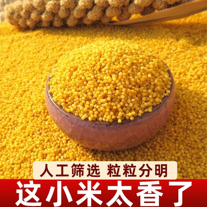 ［大飞活动］东北新小米粗粮5斤装