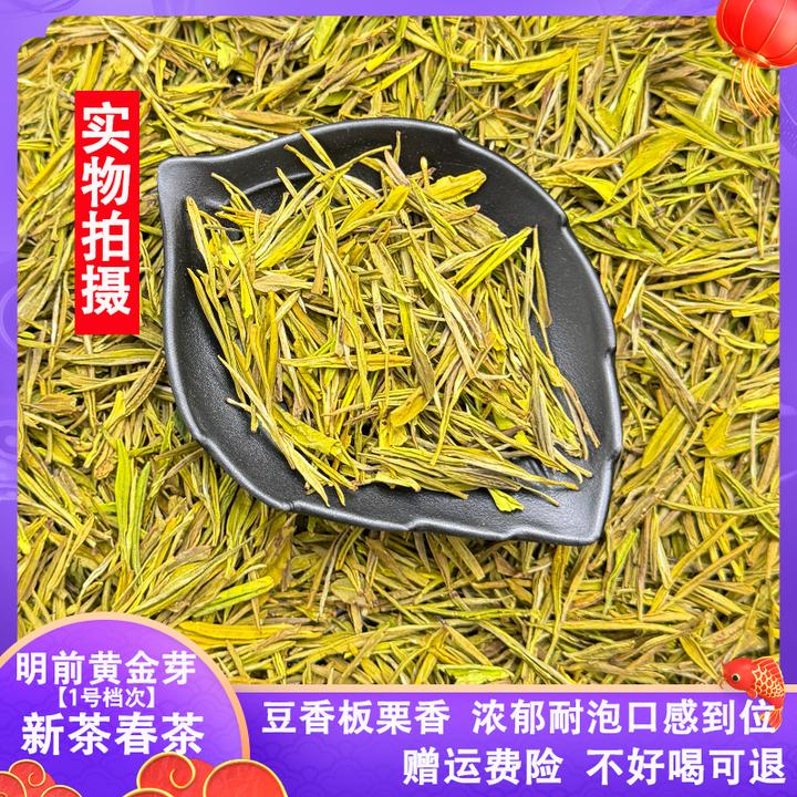 【黄金芽1号档】明前春茶豆香味浓香型绿茶新茶高山茶叶茶客之选