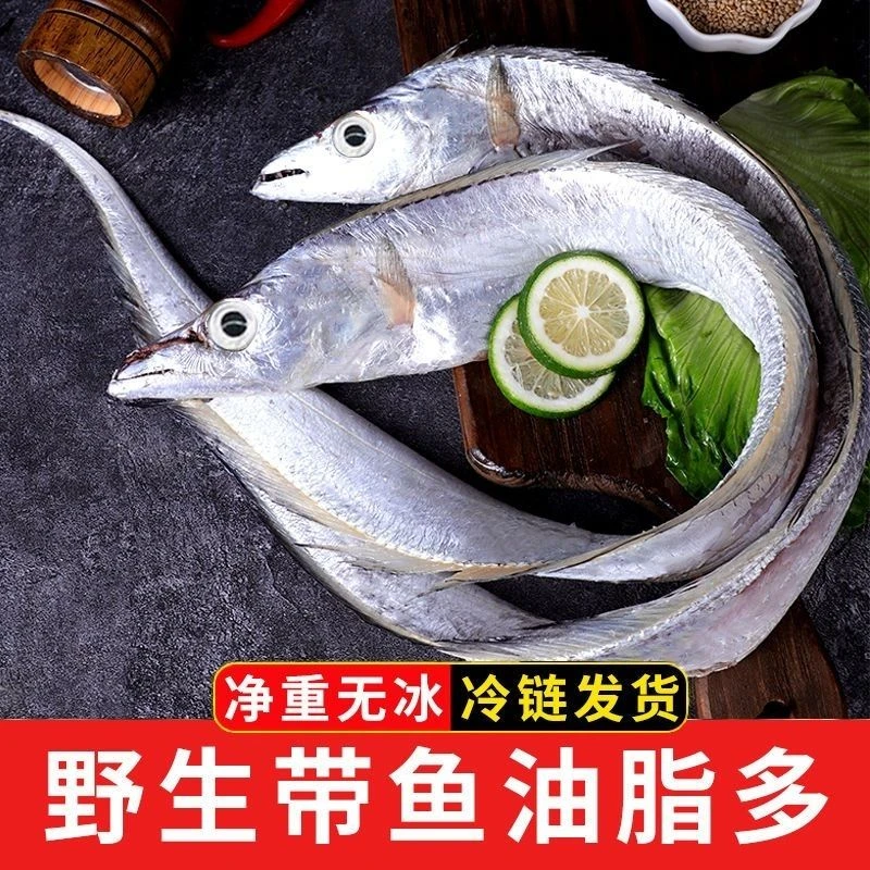 新鲜带鱼整条东海小眼带鱼5斤装无冰正宗带鱼刀鱼水产海鲜批发
