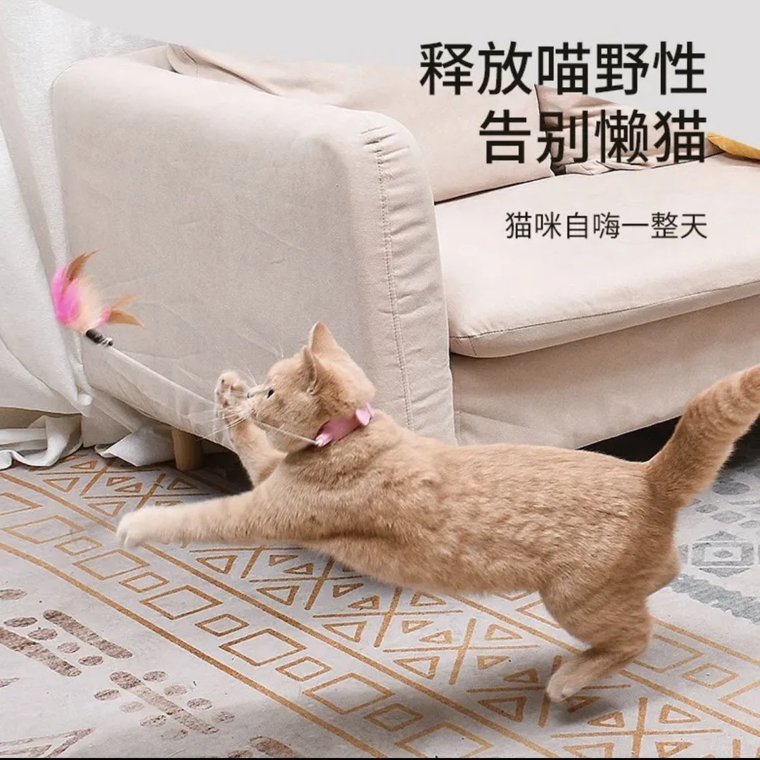 猫咪玩具项圈自嗨逗猫棒解闷耐咬成幼猫多功能通用可调节羽毛玩具