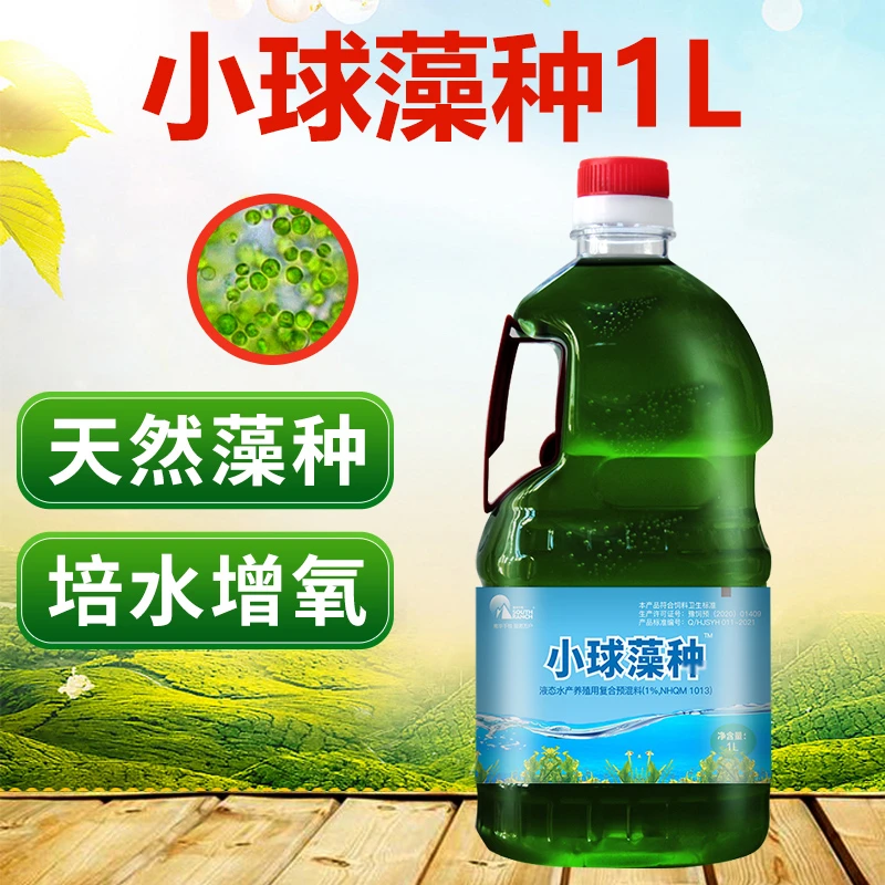 小球藻藻种浓缩藻种复合藻种肥水培藻增氧水产养殖小球藻卵囊藻种