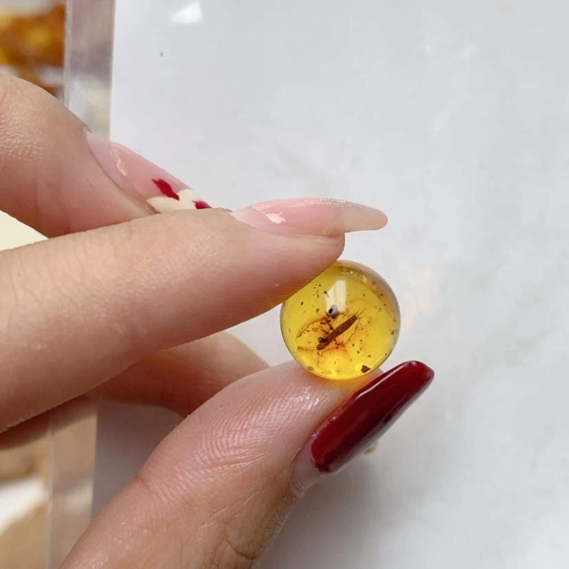 【闪购商品】定制琥珀未镶嵌千**树