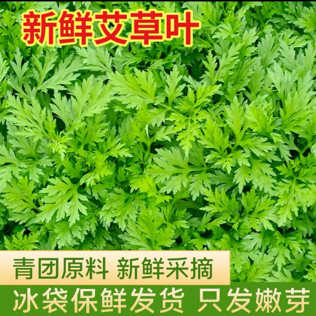 农产品蔬菜新鲜当季食用艾草叶艾蒿清明艾团糍粑现摘嫩尖2斤
