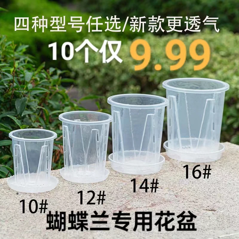 透明蝴蝶兰石斛兰花盆