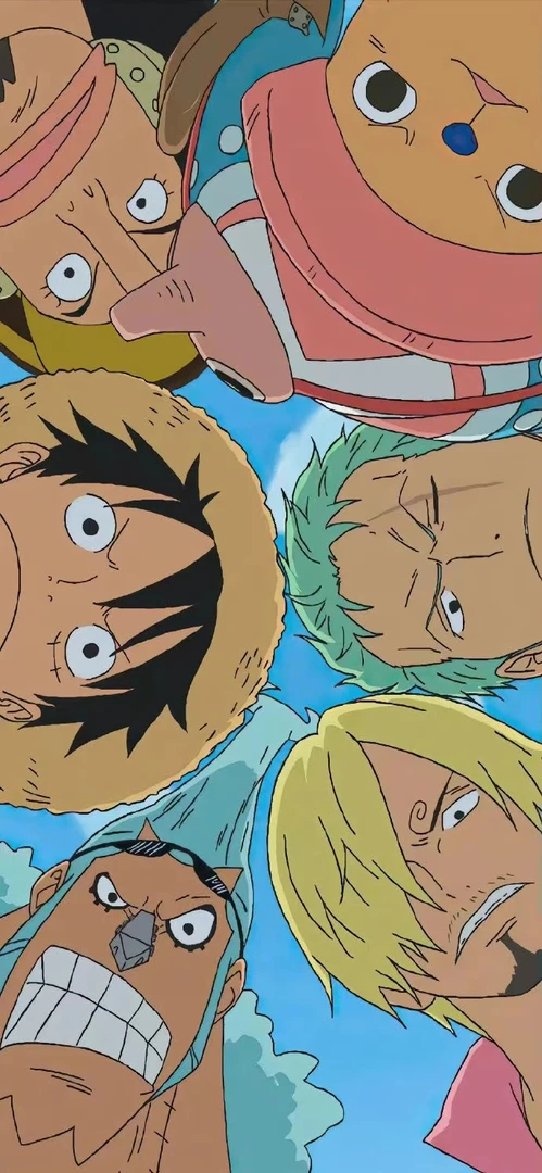 精美海贼王卡牌大杂烩