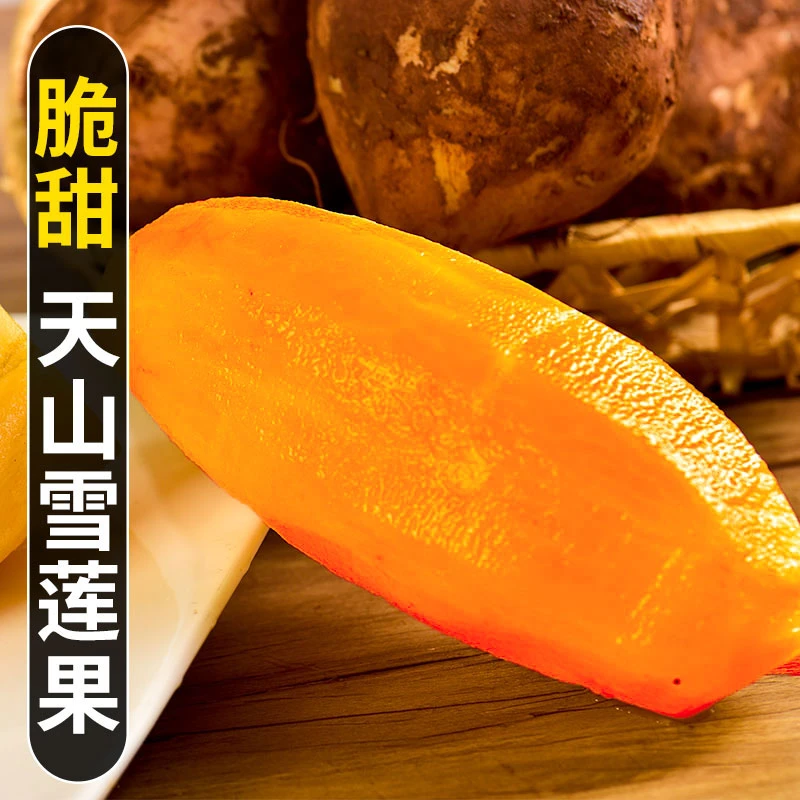 【现挖】云南正宗黄心雪莲果3-9斤脆甜多汁低糖新鲜水果孕妇水果