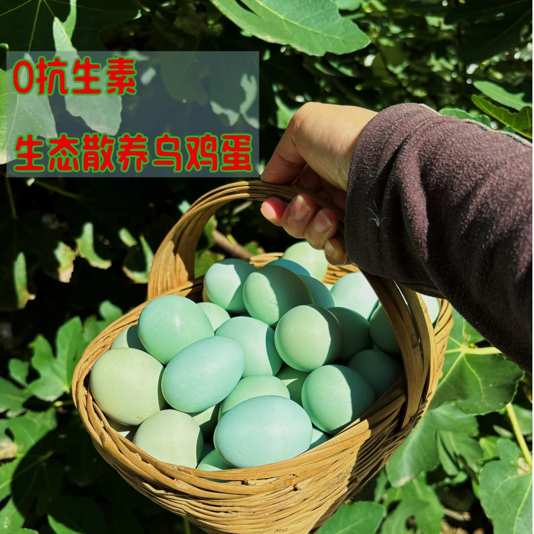 山林散养乌鸡蛋40枚五谷喂养当天现拣现发五康口生态农场乌鸡鸡蛋
