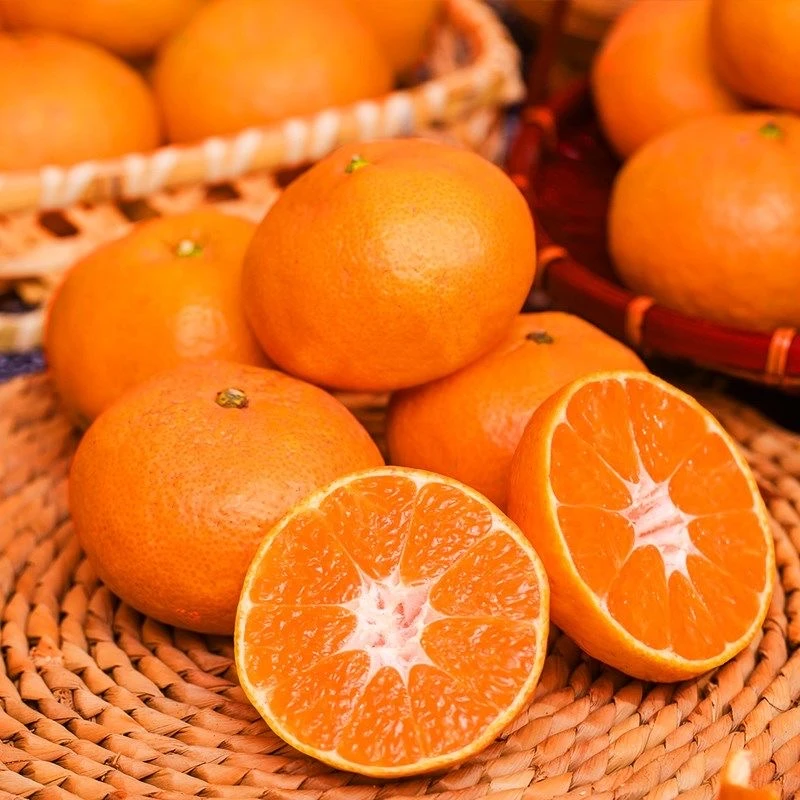 【正宗临海涌泉蜜桔】正宗临海涌泉蜜桔当季水果新鲜甜桔子无核蜜橘