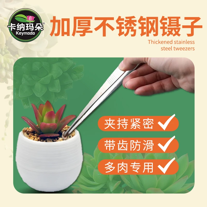 耕芭家用不锈钢镊子加长阳台花卉种花修枝多肉修根专用园艺品夹子
