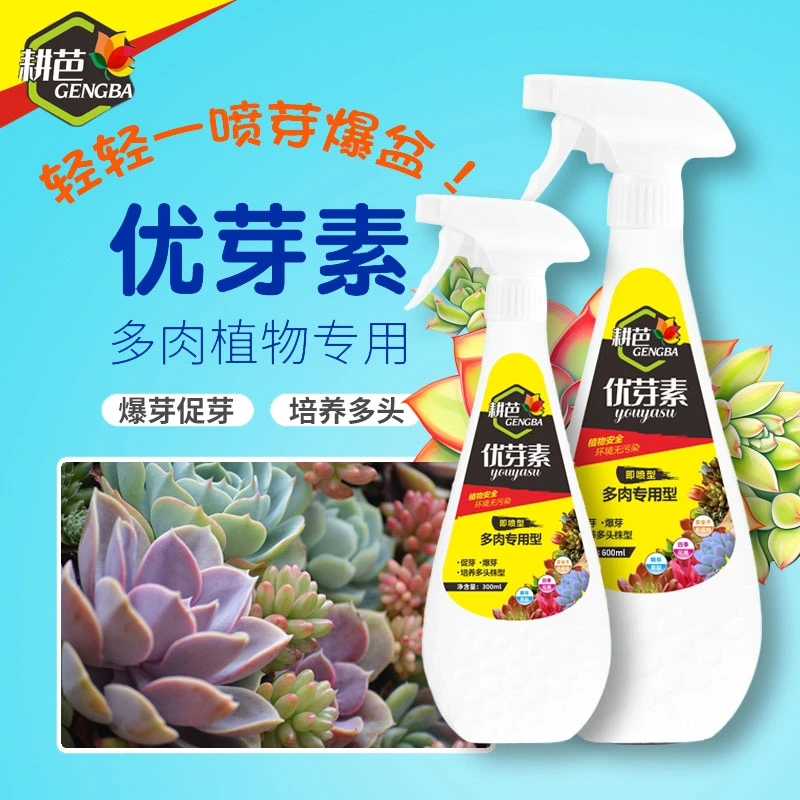 【柚子奶奶专享】优芽素多肉专用叶插促芽爆芽催芽老桩营养液