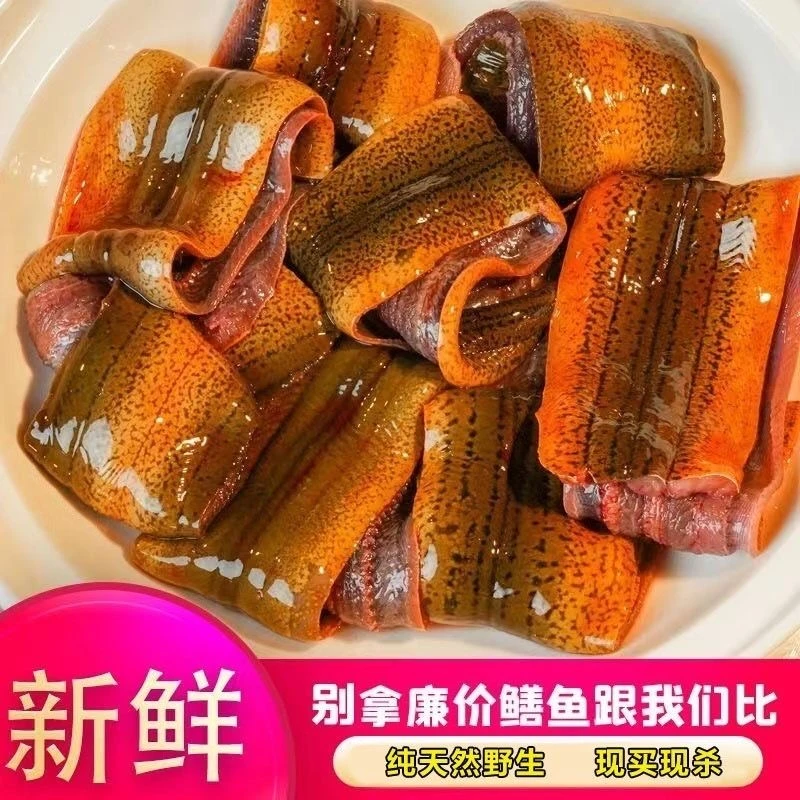 【顺丰空运】黄鳝鲜活现杀去骨鳝鱼片鳝丝鳝段剔骨去肠鳝鱼片新鲜