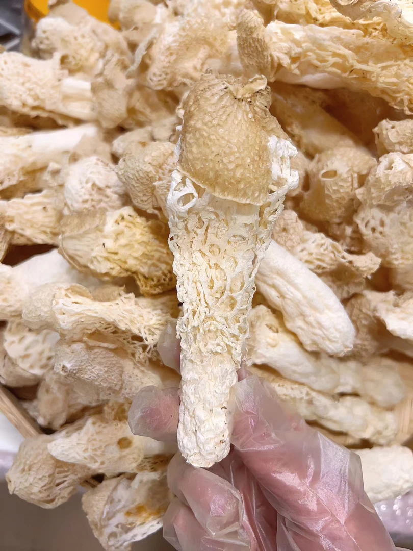 【竹荪，茶树菇、玉竹】山货现称现拍丨山村夫人推荐250g/500g农产品