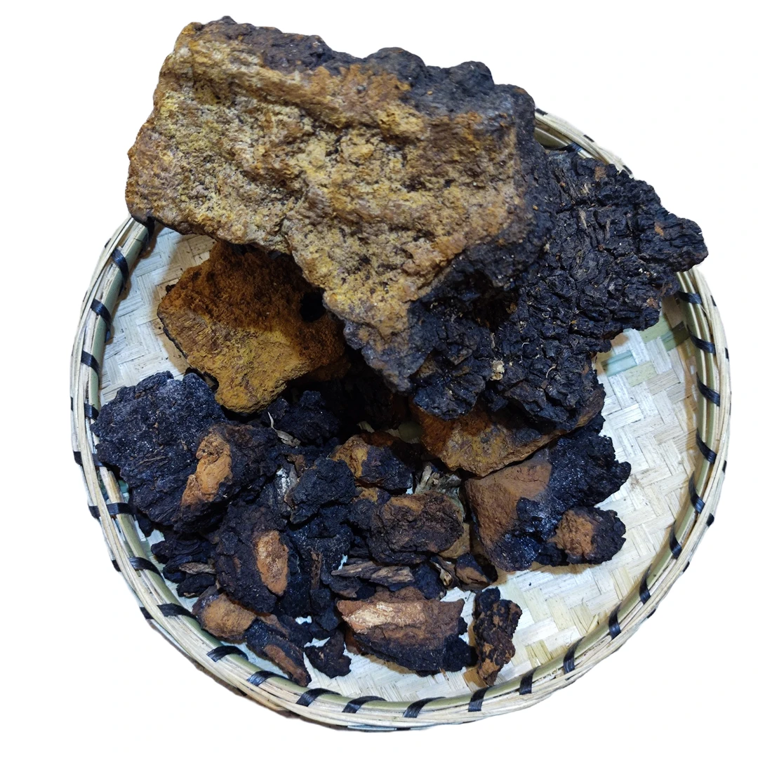【桦树茸黑金】山货现称现拍丨山村夫人①推荐500g农产品