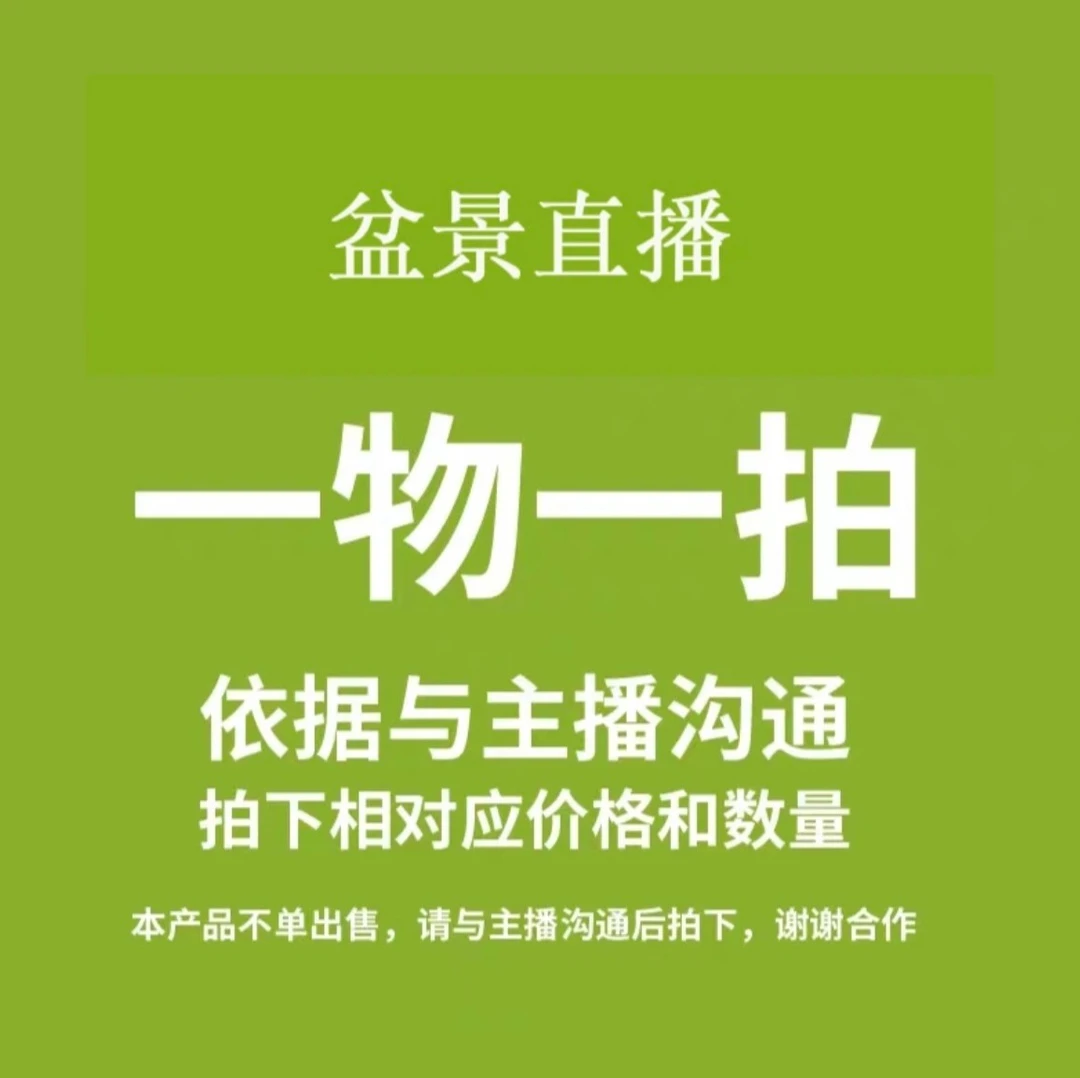 福利梅花 一物一拍