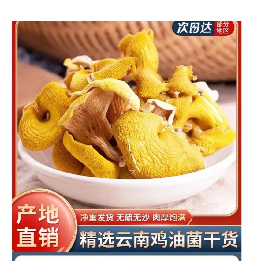 云南特产楷美山货菌菇鸡油菌干货黄金菇食用菌煲汤食材精选榆黄菇