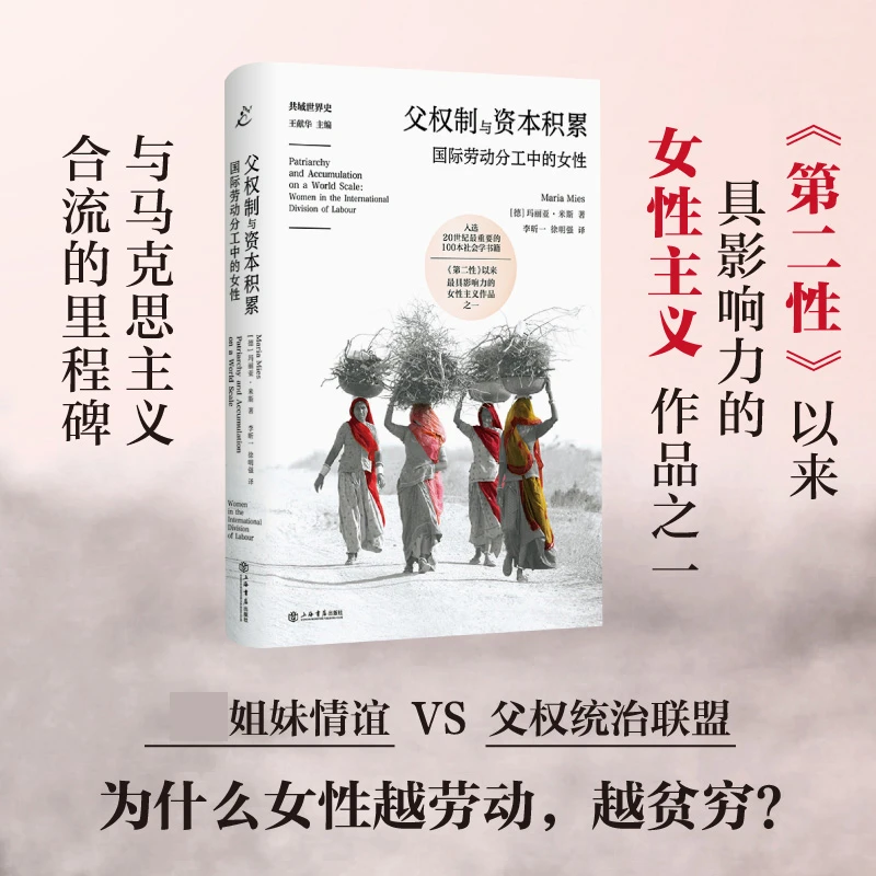 父权制与资本积累:国际劳动分工中的女性 揭露资本主义父权制作