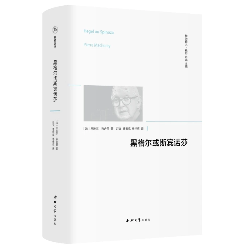 博库 黑格尔或斯宾诺莎/精神译丛 书籍 正版图书推荐 西北大学出
