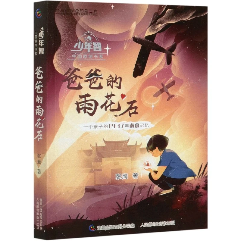 爸爸的雨花石 少年智中国原创书籍 一个孩子1973年的南京记忆 三