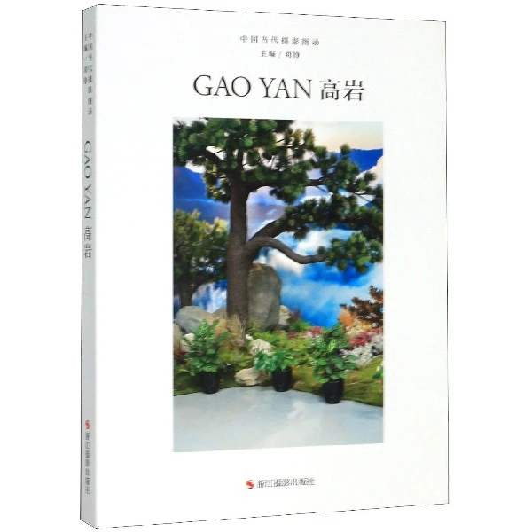 博库 高岩(精)/中国当代摄影图录 书籍 正版图书推荐 浙江摄影出